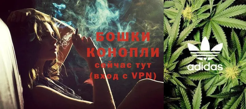 Конопля White Widow  Старая Купавна 